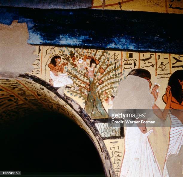 The private tomb of the royal tomb builder Pashedu, The deceased receives sacred water from the sycamore goddess. The tree, often depicted as a semi...