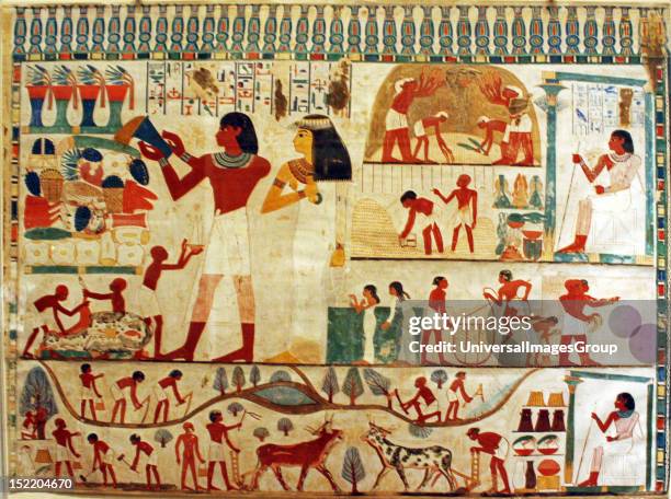 Egyptian wall paintings from New Kingdom, facsimiles of ancient Egyptian wall decoration. They are accurate copies of original scenes, exact in line...