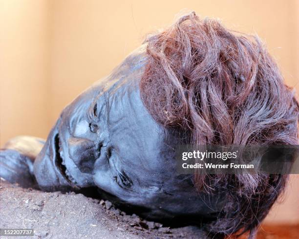 View of the head of Grauballe Man, Discovered in 1952, he was violently killed with a blow to his temple which fractured his skull and a cut to the...