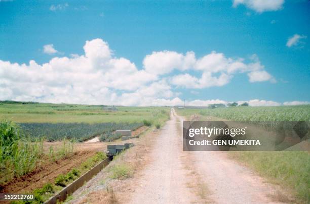 straight road - field ストックフォトと画像