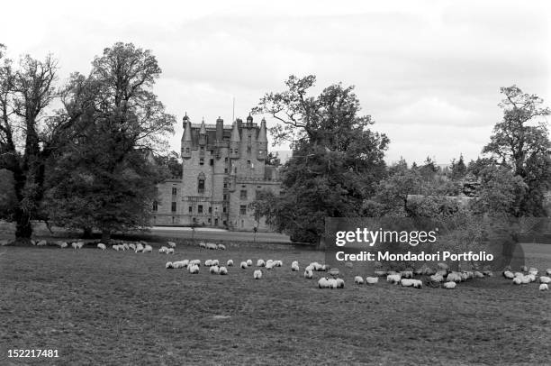 Glamis Castle; in front of it, there is a big lawn with a flock. Angus .