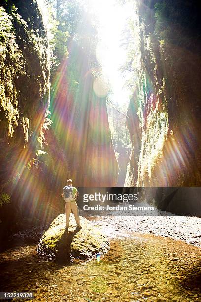a man hiking a narrow canyon. - oneonta falls stock pictures, royalty-free photos & images