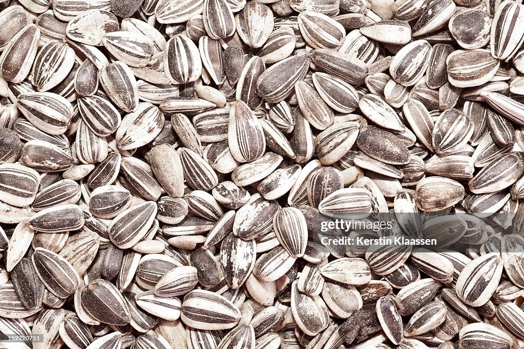 Sunflower seeds