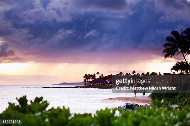 a couple watches the sunset from the beach. - kauai bildbanksfoton och bilder