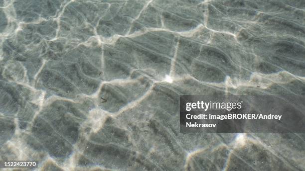Shallow View 35 Shallow Water Top View Stock Photos, High-Res Pictures, and Images ...