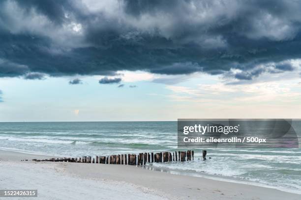 scenic view of beach against sky,naples,florida,united states,usa - groyne bildbanksfoton och bilder