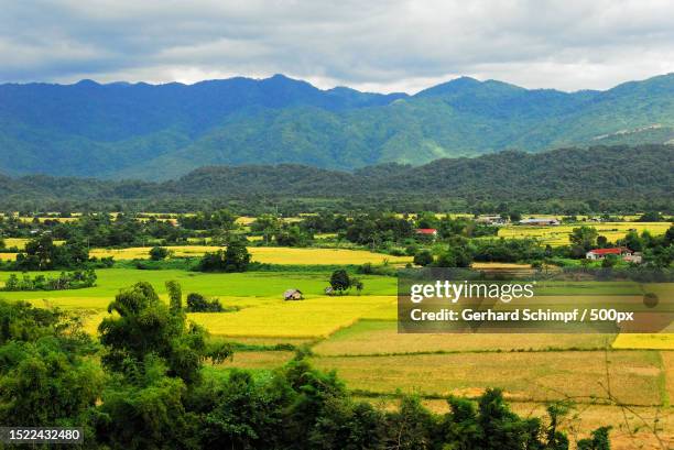 scenic view of agricultural field against sky - gerhard schimpf fotografías e imágenes de stock