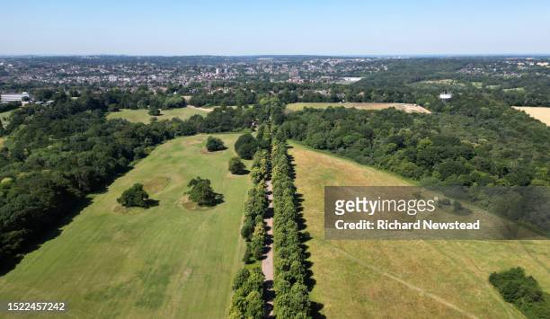 trent park - direct stock pictures, royalty-free photos & images