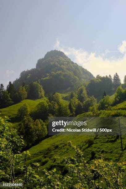 scenic view of trees on field against sky,vitznau,switzerland - nicolas berggruen stock-fotos und bilder