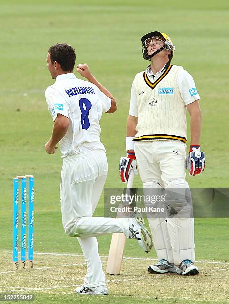 Josh Hazlewood of the Blues celebrates the wicket of Marcus North of the Warriors during day one of the Sheffield Shield match between the Western...