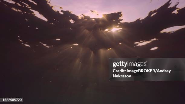 evening sunlight creates beautiful veil, consisting of sunlight at sunset. underwater ocean waves oscillate and flow with rays of light at sundown, red sea, egypt - oscillare stock pictures, royalty-free photos & images