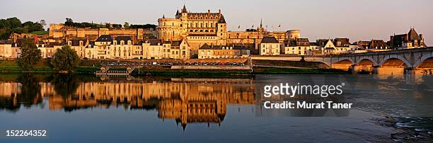 chateau d'amboise - amboise stock pictures, royalty-free photos & images