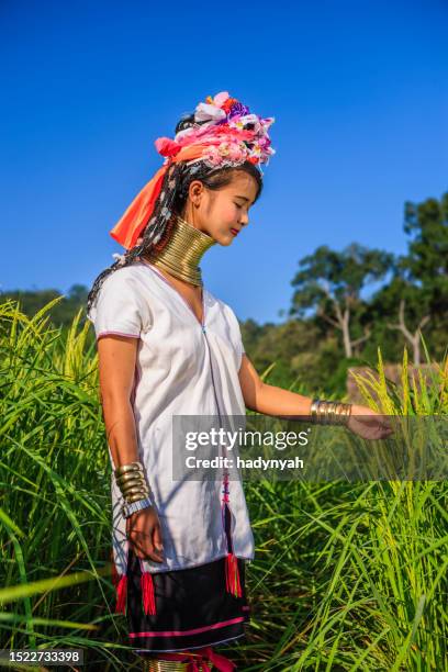 woman from long neck karen tribe crossing rice field - padaung stock pictures, royalty-free photos & images