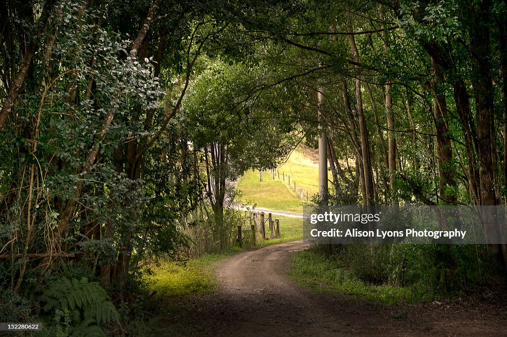 Country lane