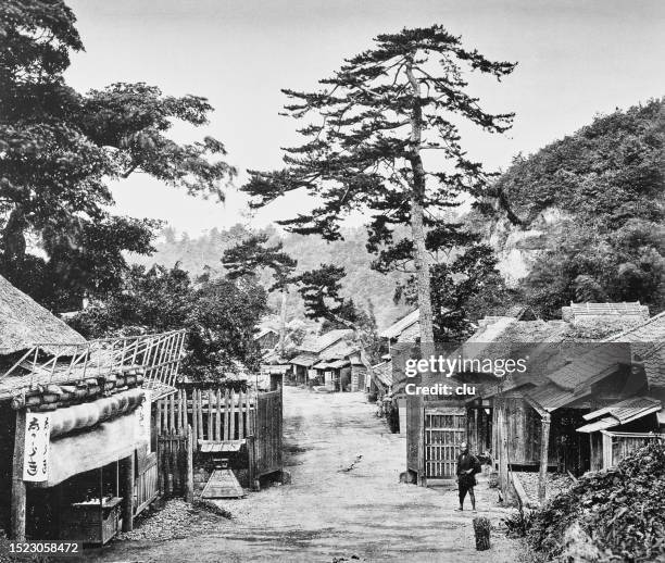 odawara, japan - japanese tree drawing stock illustrations