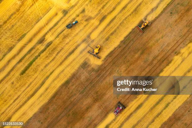 aerial view combine harvester agriculture machine harvesting golden ripe wheat field - agriculture in ukraine stock pictures, royalty-free photos & images