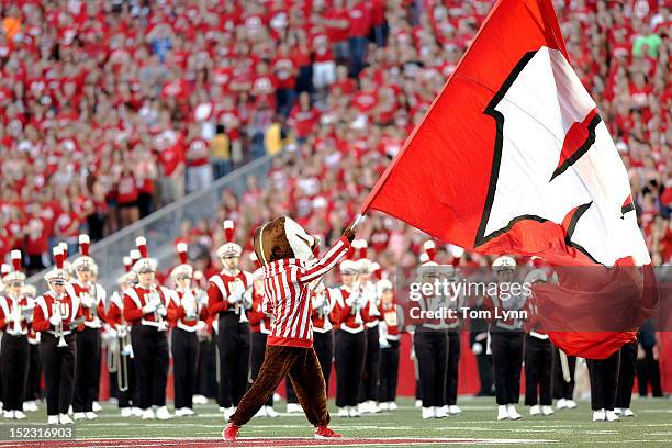 Bucky Badger, mascot of the Wisconsin Badgers, waves the school flag during pre-game before the start of the game between the Utah State Aggies and...