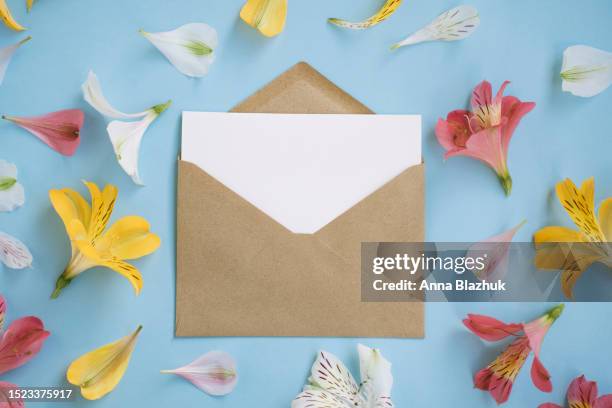 pink, white and yellow alstroemeria flowers over blue background and white blank paper card in envelope. petals and flowers. floral summer background. - greeting card and envelope stock pictures, royalty-free photos & images