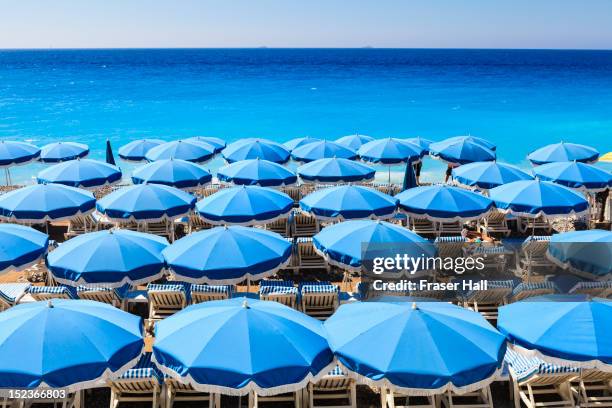 beach parasols, nice - blues v france stock pictures, royalty-free photos & images