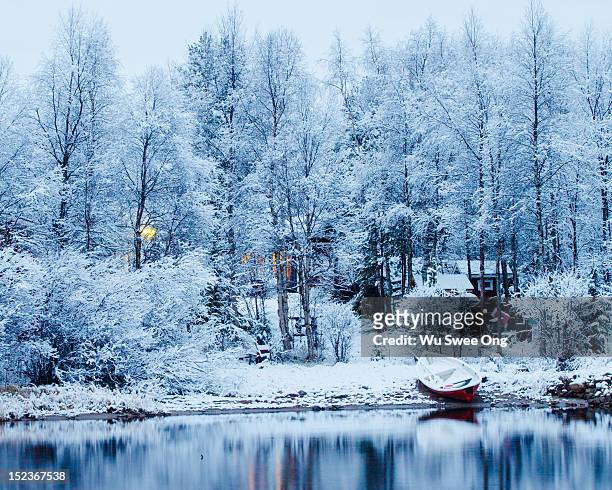white winter - inari finland bildbanksfoton och bilder
