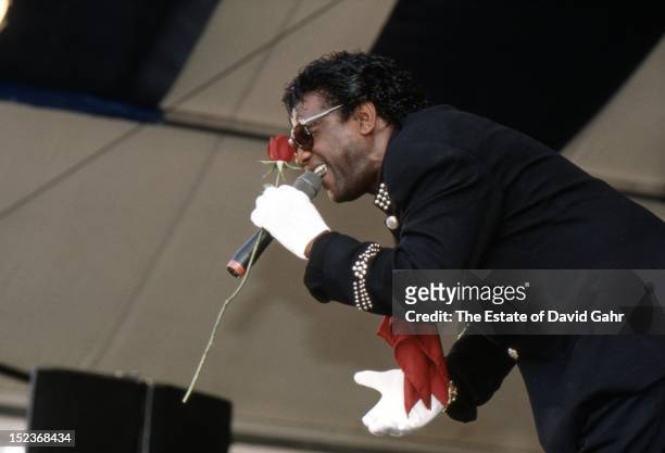 Soul singer Al Green performs in August 1995 at the New Orleans Jazz and Heritage Festival in New Orleans, Louisiana.