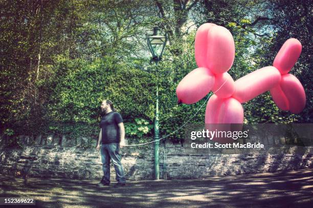 man with giant balloon dog - man made stock pictures, royalty-free photos & images