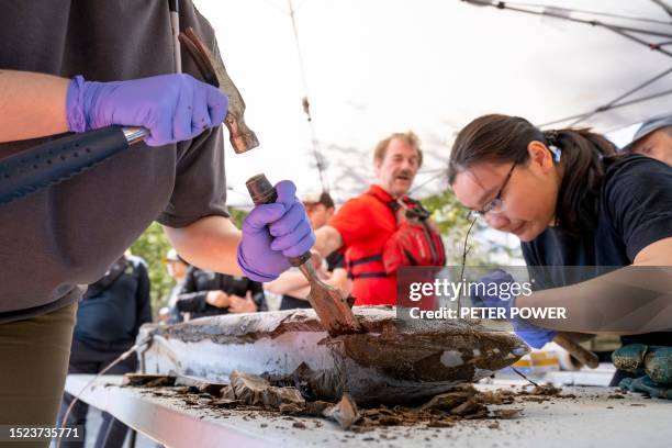 Team members chisel frozen layers of lake bottom sediment from the outside of the probe brought from the depths of Crawford Lake near Milton,...