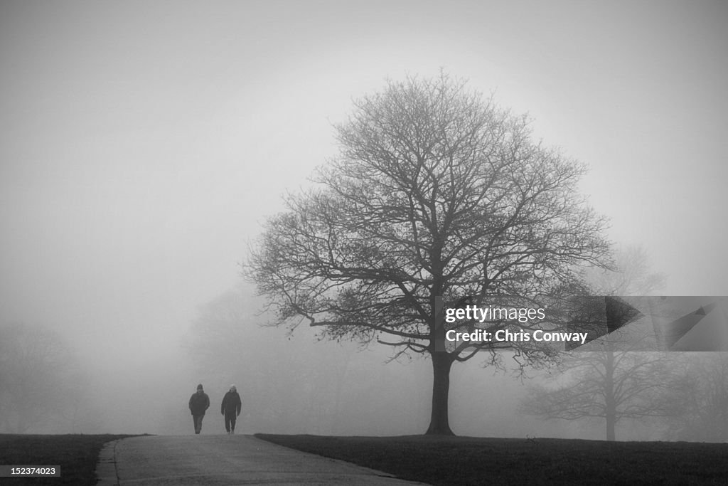 Walkers in mist