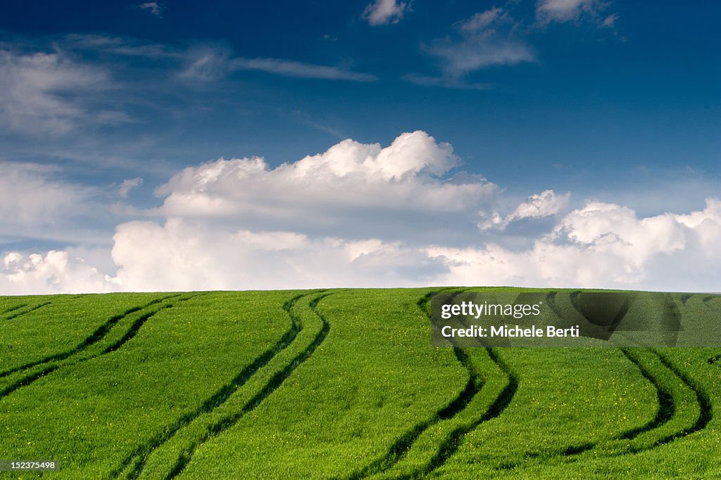 Tractor tracks