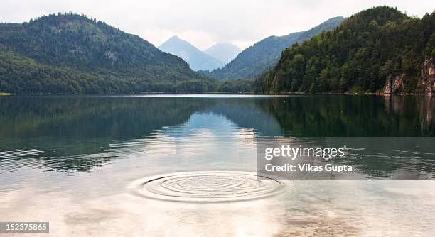 alpsee lake - allgau stock pictures, royalty-free photos & images