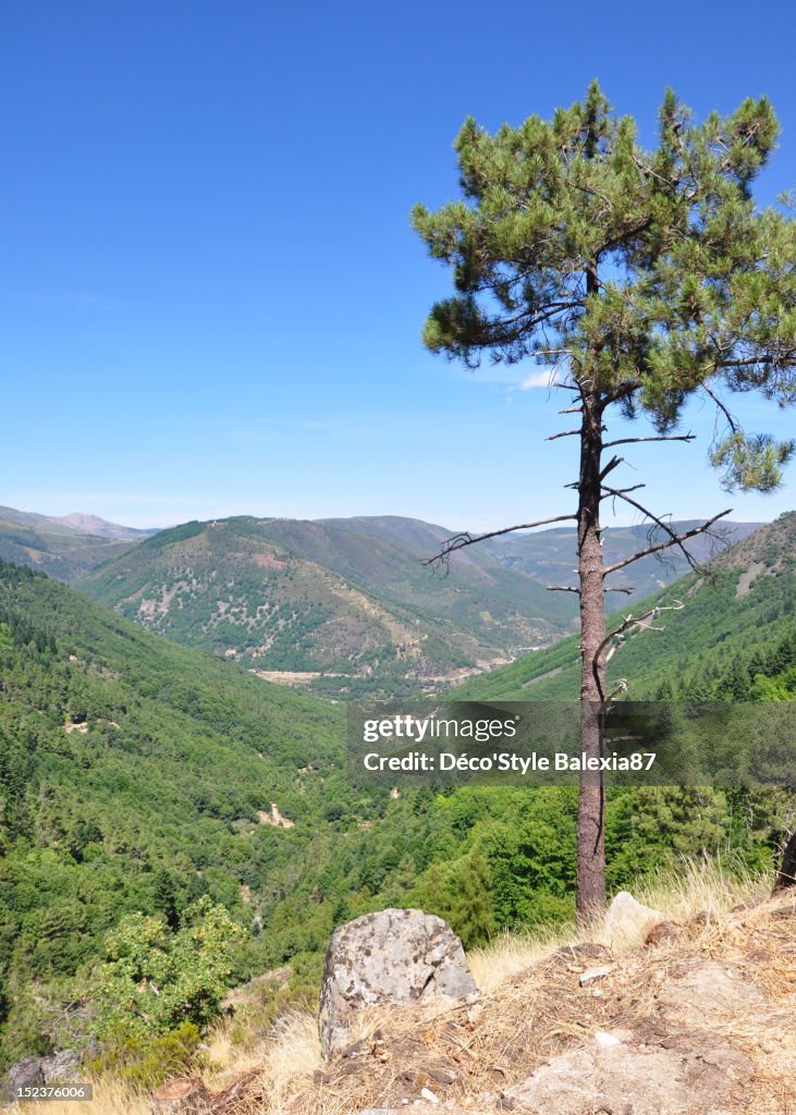 View of valley