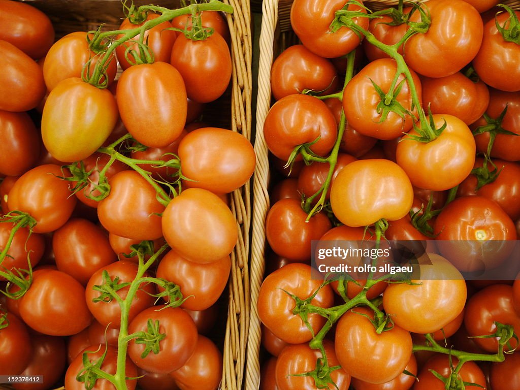 Organic grown tomatoes