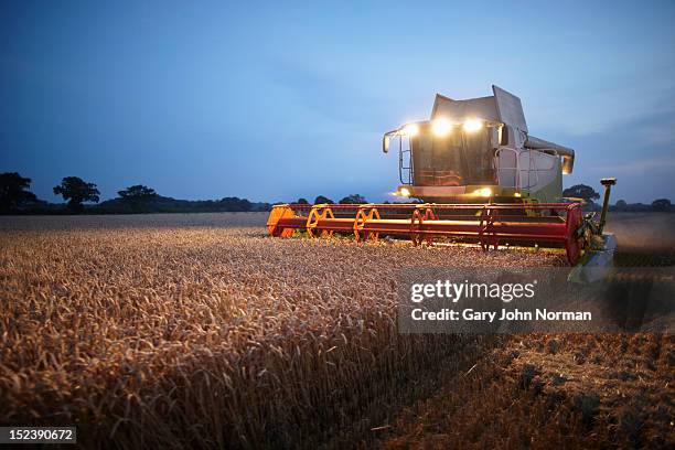 combine harvester at work in field at sunset - 英 ノーフォーク州 ストックフォトと画像