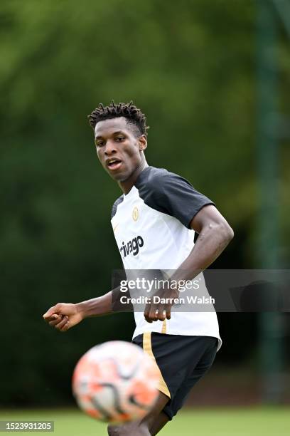 Nicolas Jackson of Chelsea during a training session at Chelsea Training Ground on July 11, 2023 in Cobham, England.