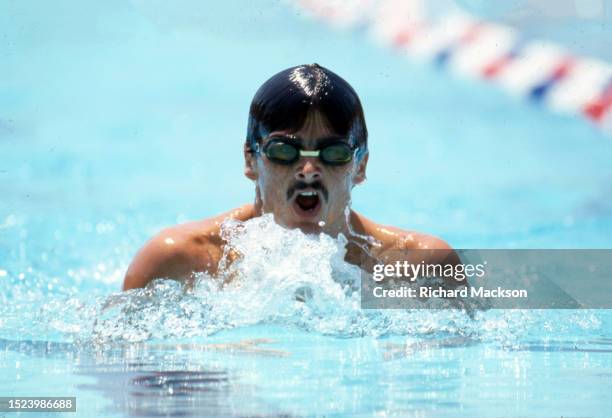 Jesse Vassallo Photos and Premium High Res Pictures Getty Images