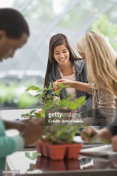 students working in greenhouse - saint louis university bildbanksfoton och bilder