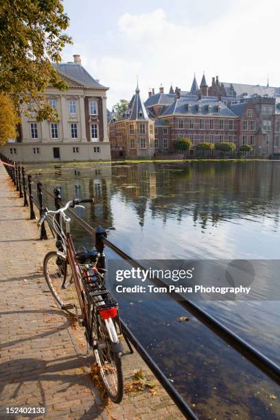 bicycle and ornate dutch buildings near pond - binnenhof stock pictures, royalty-free photos & images