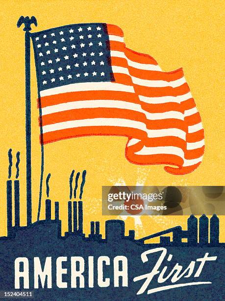 1,095 Types Of American Flags Stock Photos, High-Res Pictures, and ...