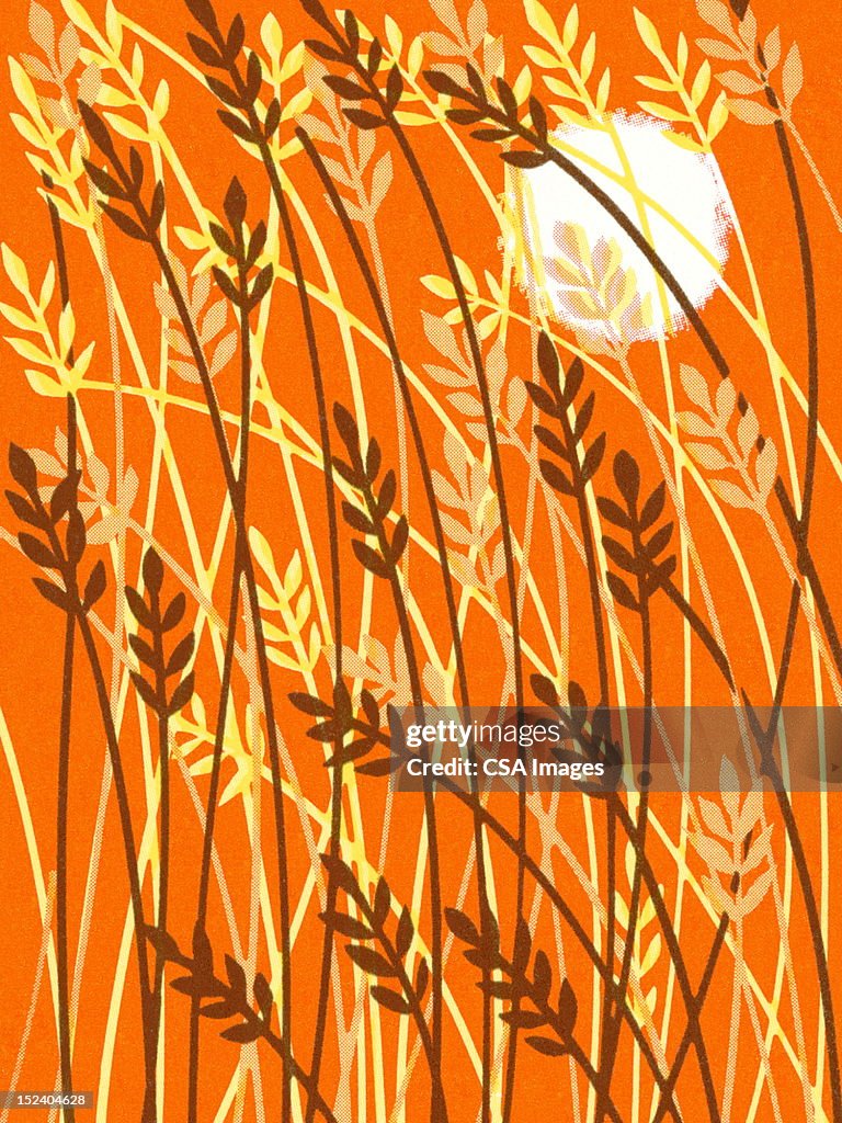 Fall Pattern High-Res Vector Graphic - Getty Images