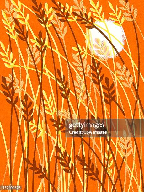 Bitmap Images Fall Fall Pattern High-Res Vector Graphic - Getty Images