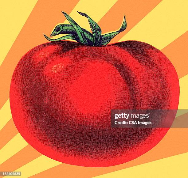 ilustraciones, imágenes clip art, dibujos animados e iconos de stock de tomate grande - tomate