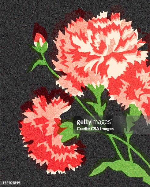 carnations - カーネーション点のイラスト素材／クリップアート素材／マンガ素材／アイコン素材