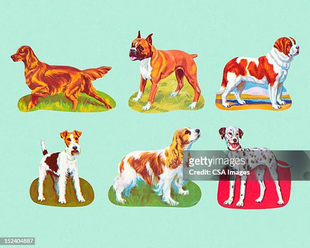 さまざまな犬 - ダルメシアン点のイラスト素材／クリップアート素材／マンガ素材／アイコン素材