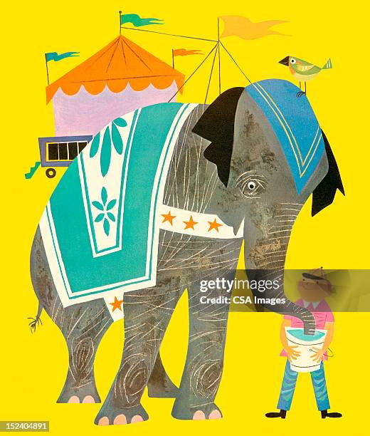 circus elephant - vintage circus elephant stock illustrations