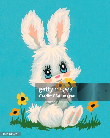 White Rabbit White Rabbit