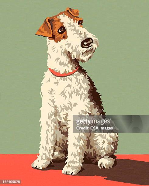 fox terrier dog - animal art stock illustrations
