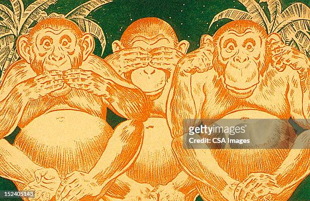 stockillustraties, clipart, cartoons en iconen met three monkeys - aap