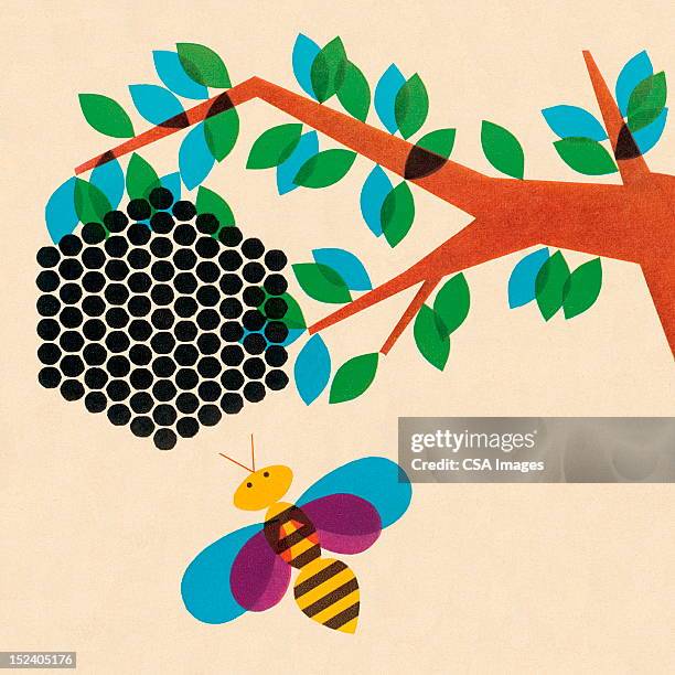 bee and honeycomb in tree - bumblebee stock illustrations