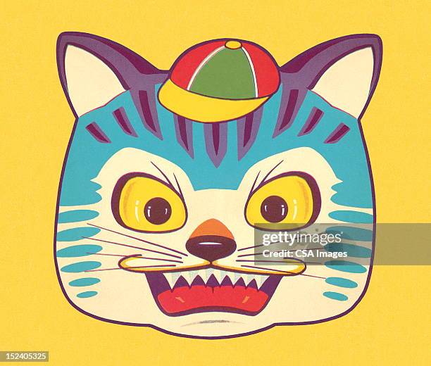 mean cat wearing hat - cat attitude stock illustrations