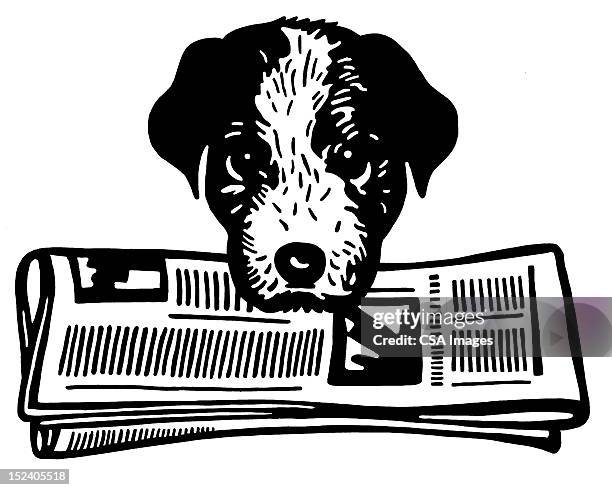 dog holding newspaper - carrying in mouth stock illustrations